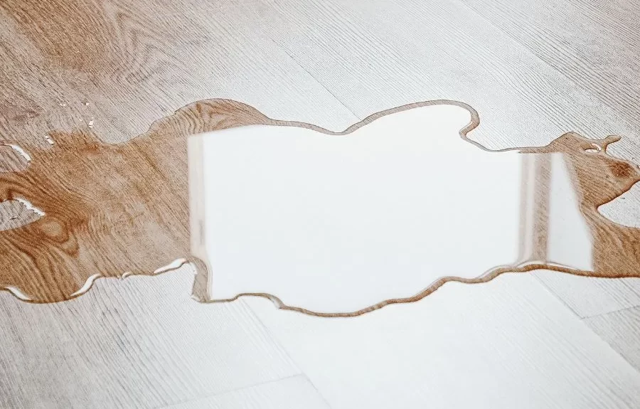 fridge is leaking water